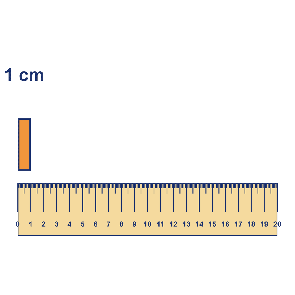 Ruler — Object Measuring 1 cm