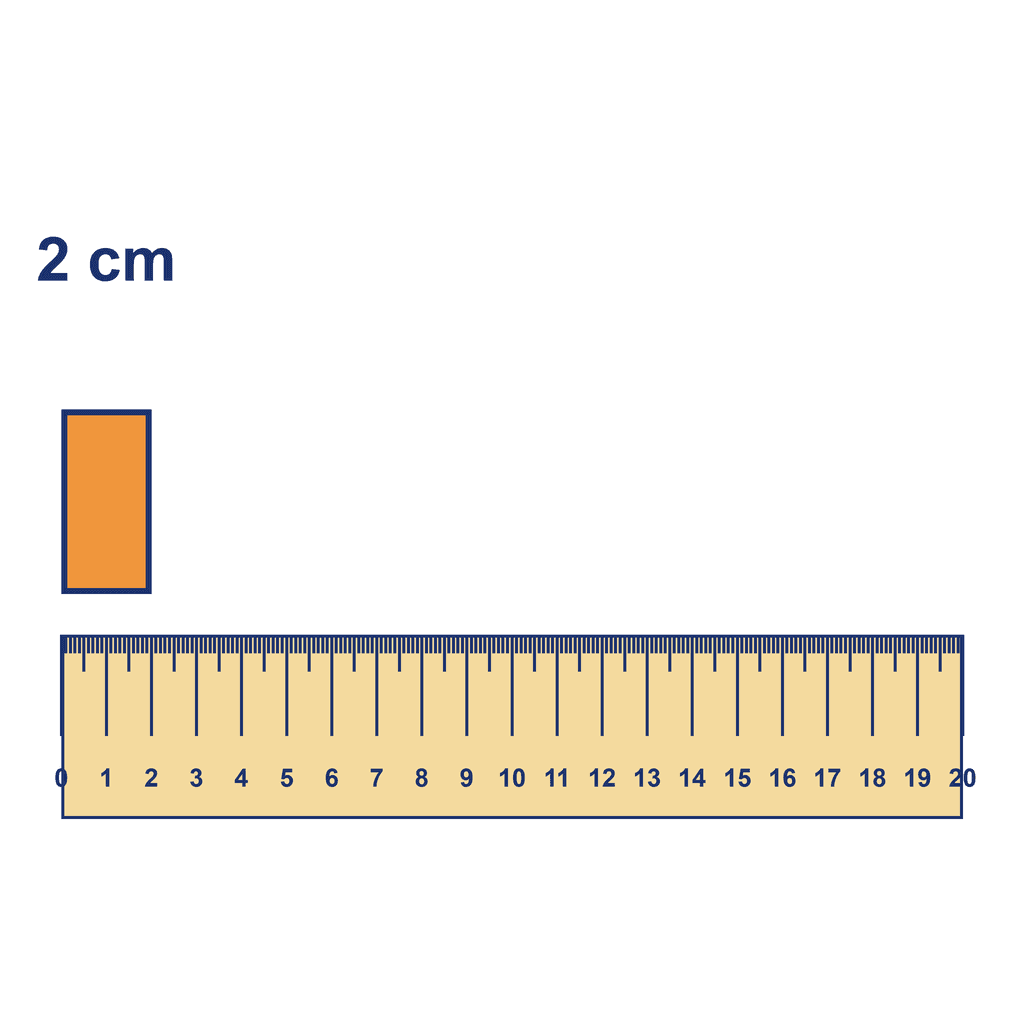 Ruler — Object Measuring 2 cm