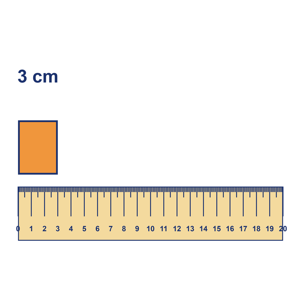 Ruler — Object Measuring 3 cm