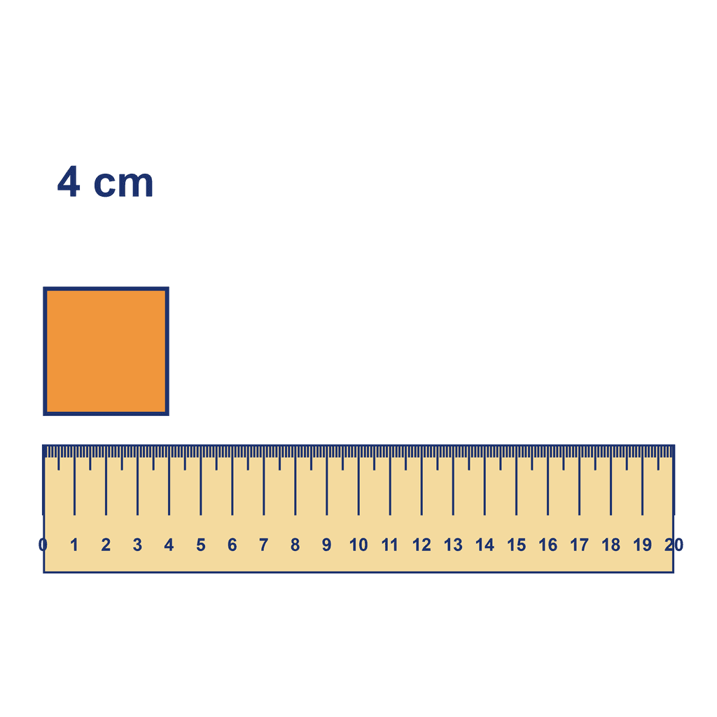 Ruler — Object Measuring 4 cm