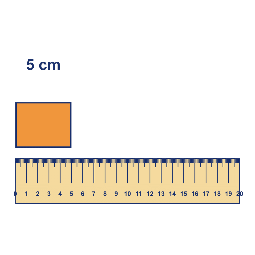 Ruler — Object Measuring 5 cm