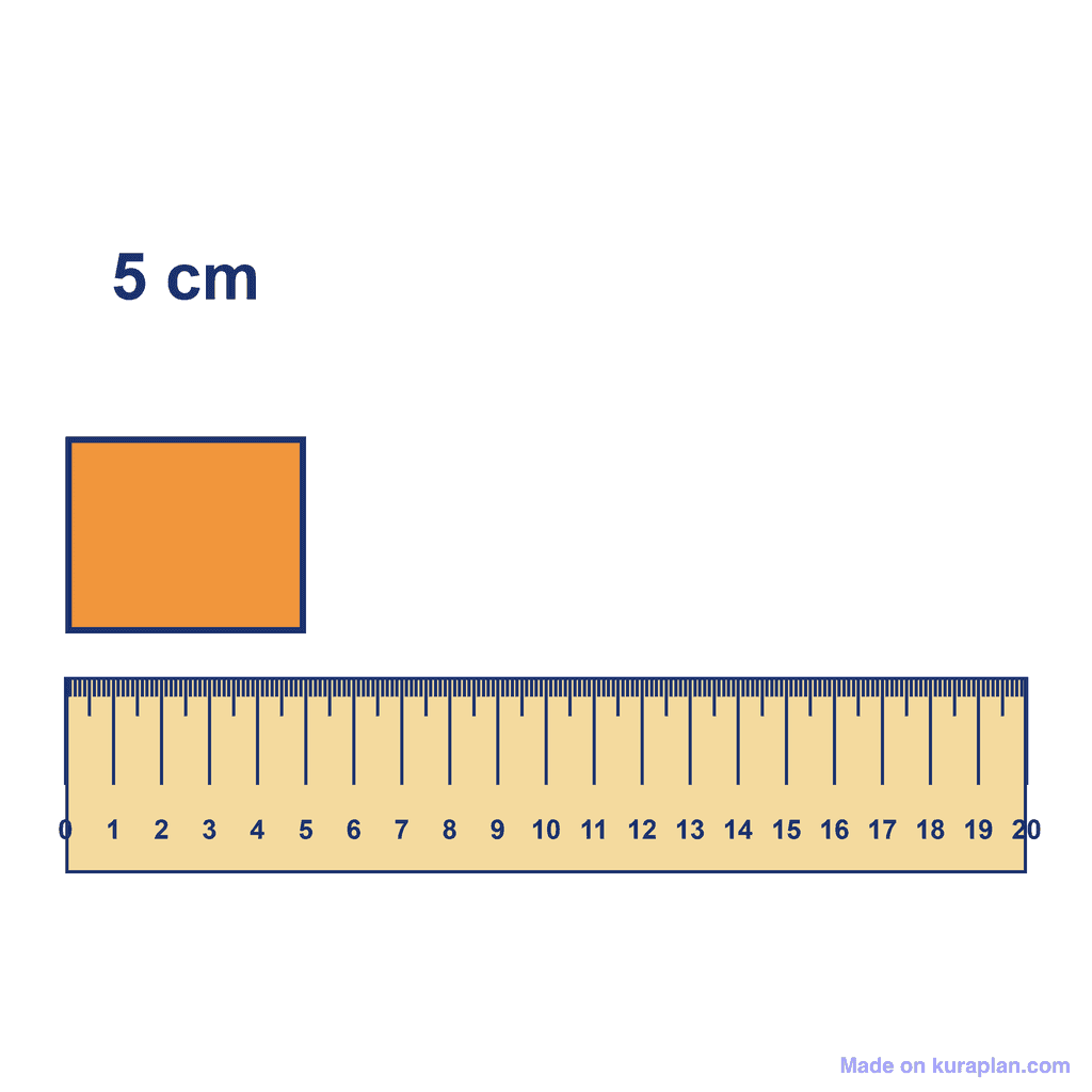 Ruler — Object Measuring 5 cm