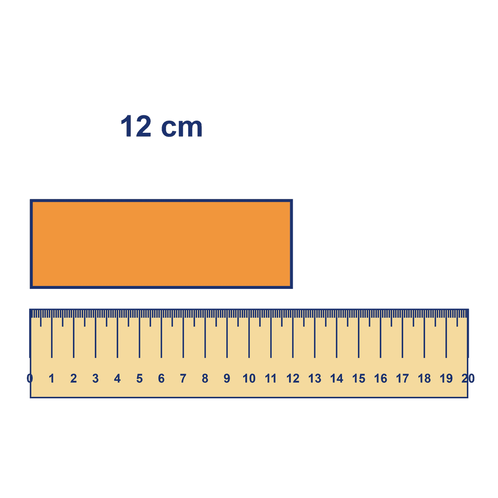 Ruler — Object Measuring 12 cm