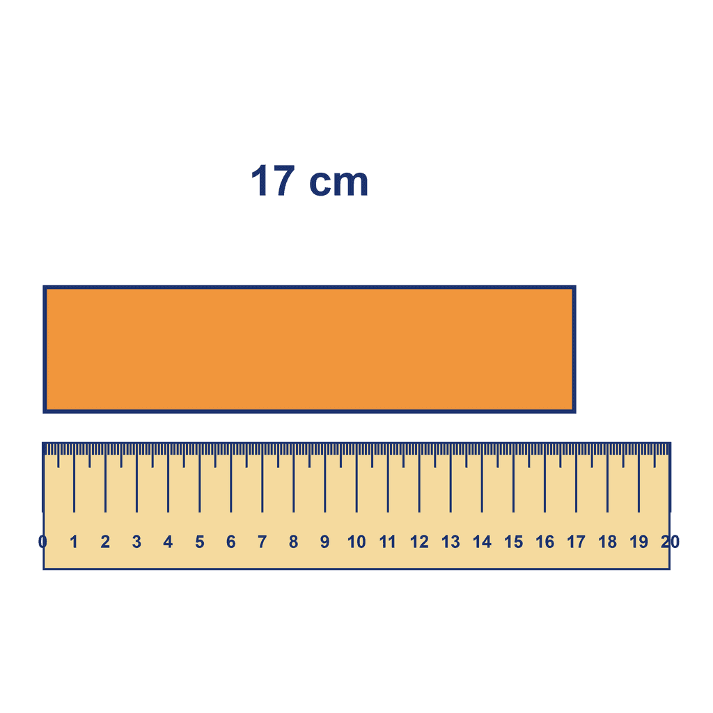Ruler — Object Measuring 17 cm