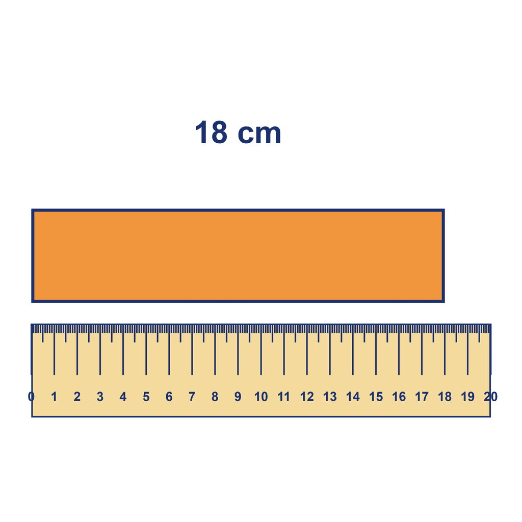 Ruler — Object Measuring 18 cm