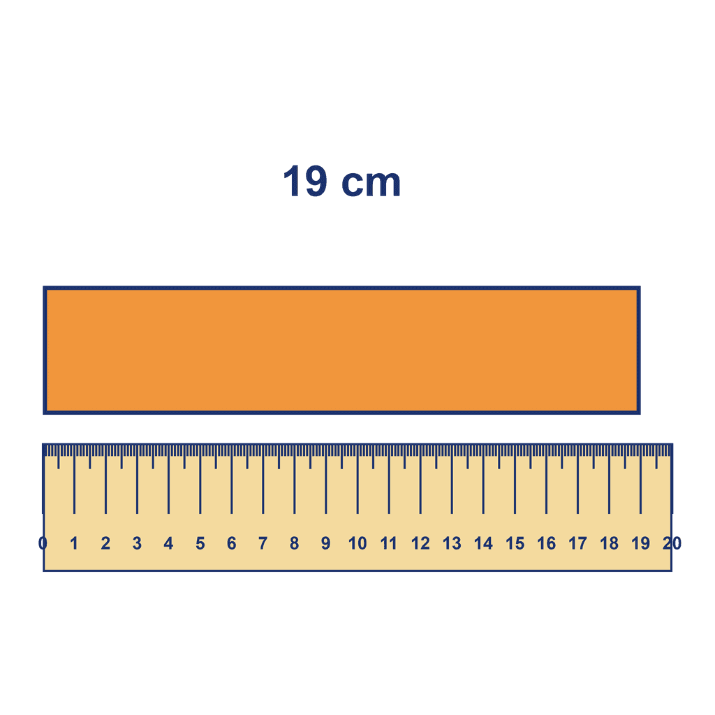 Ruler — Object Measuring 19 cm