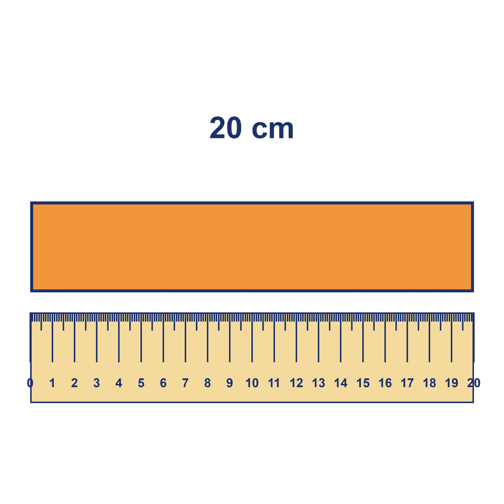 Ruler — Object Measuring 20 cm