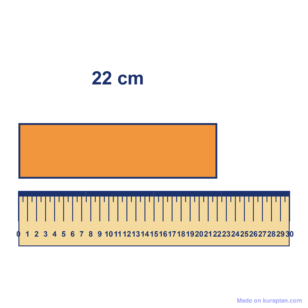 Ruler — Object Measuring 22 cm
