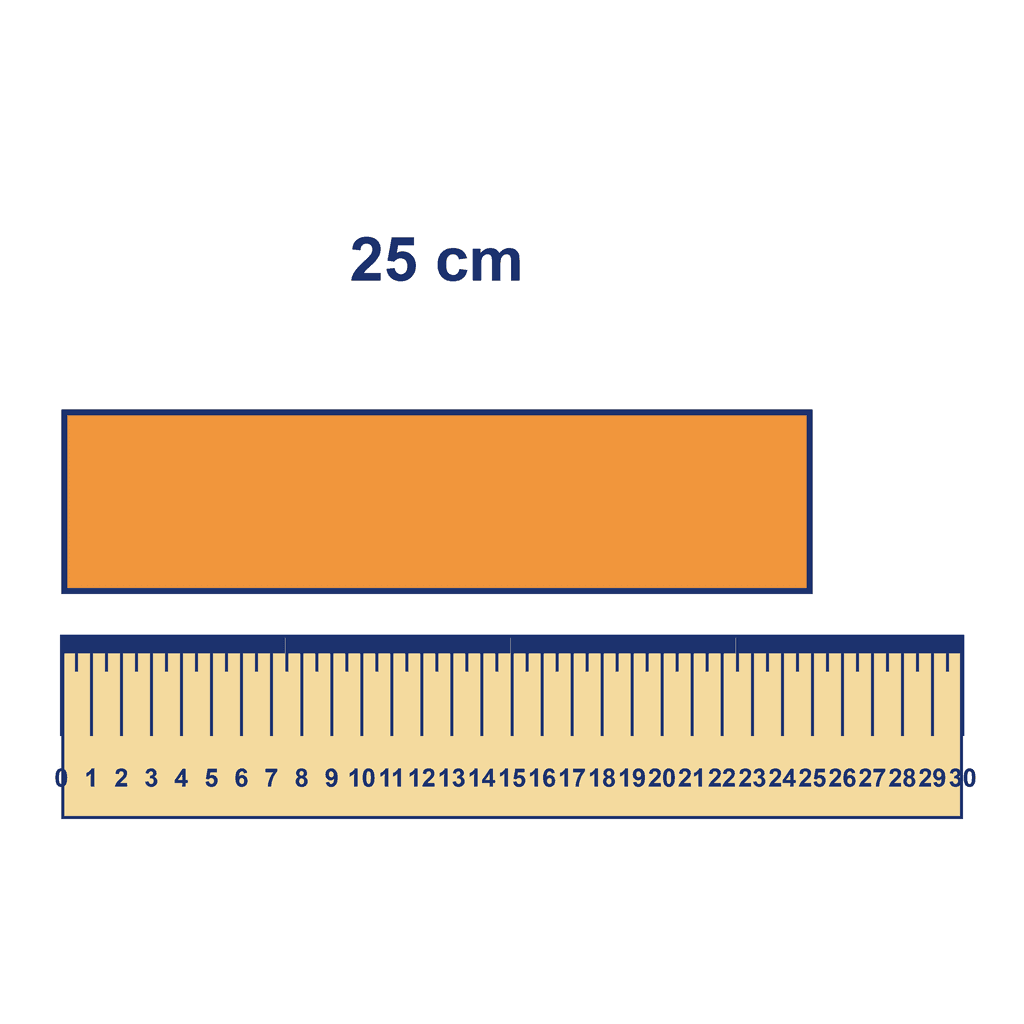 Ruler — Object Measuring 25 cm