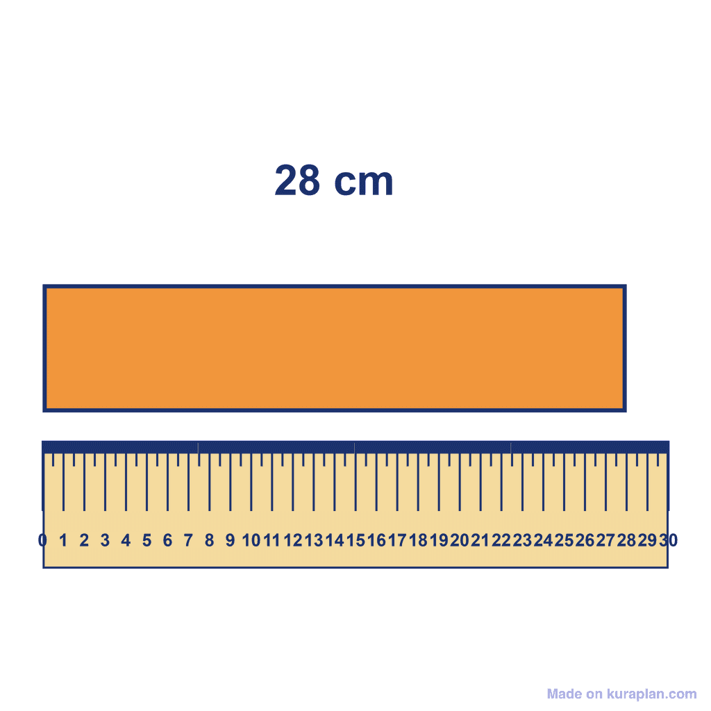 Ruler — Object Measuring 28 cm