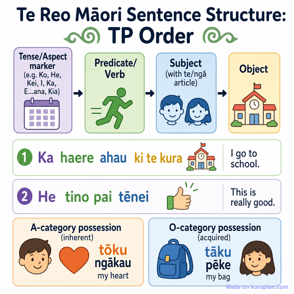 Te Reo Māori Sentence Structure: TP Order (simple)