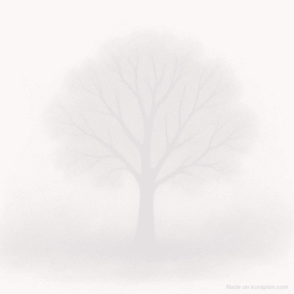 Weather — Foggy