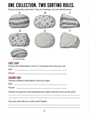 Sort six illustrated specimens using two different visible features, then justify both rules without guessing rock identities.