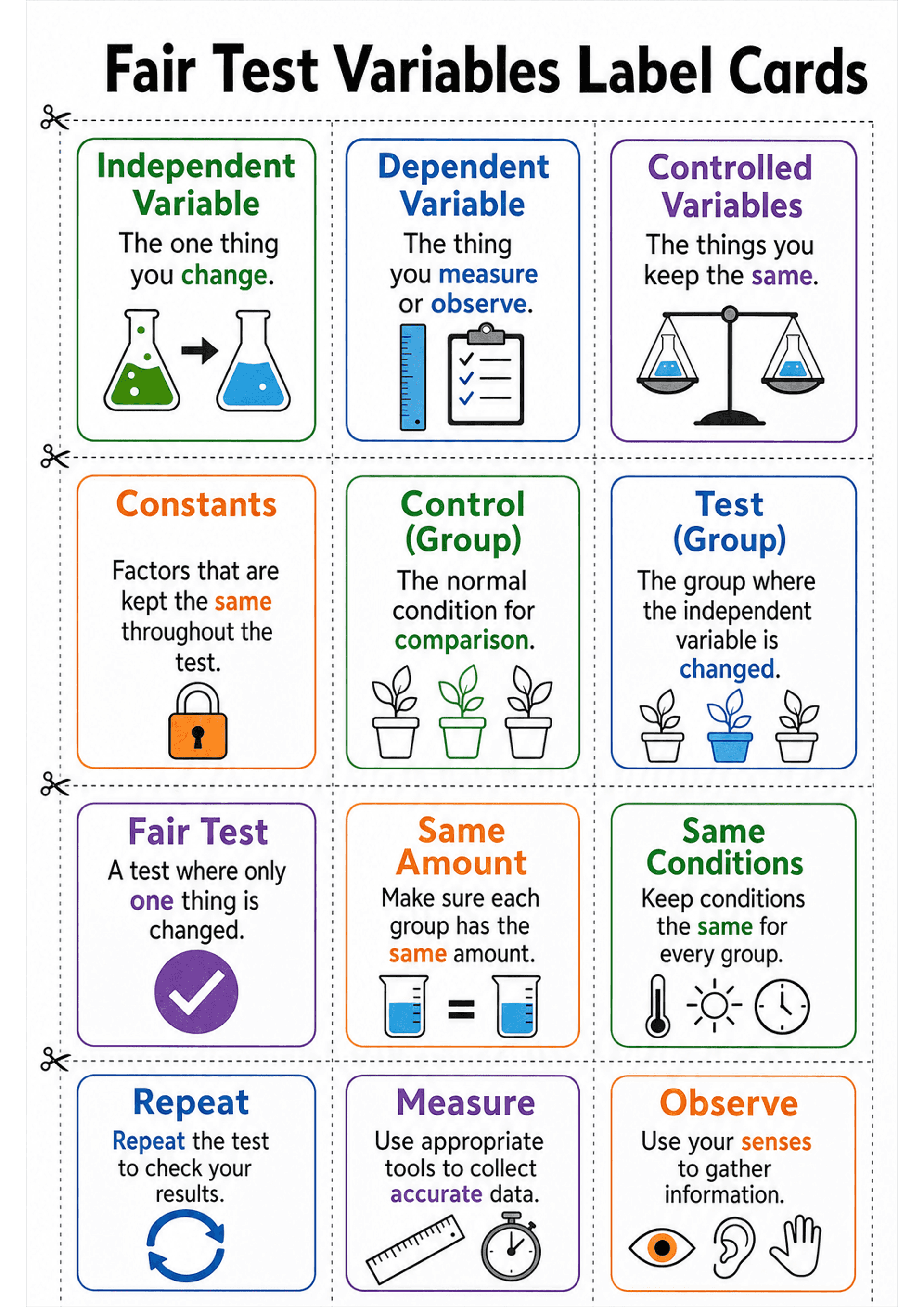 Fair Test Variables Label Cards: One A4 portrait sheet with dashed cut lines forming a 3x4 grid (12 cards). Each card: coloured border and heading (large font), one short explanatory sentence in mixed black/coloured keywords, and a supporting icon/illustration (e.g. flasks, ruler and clipboard, scales, padlock, plants, beakers, thermometer, eye/ear/hand). Top of page title 'Fair Test Variables Label Cards' visible. Text density low — one short phrase/sentence per card.