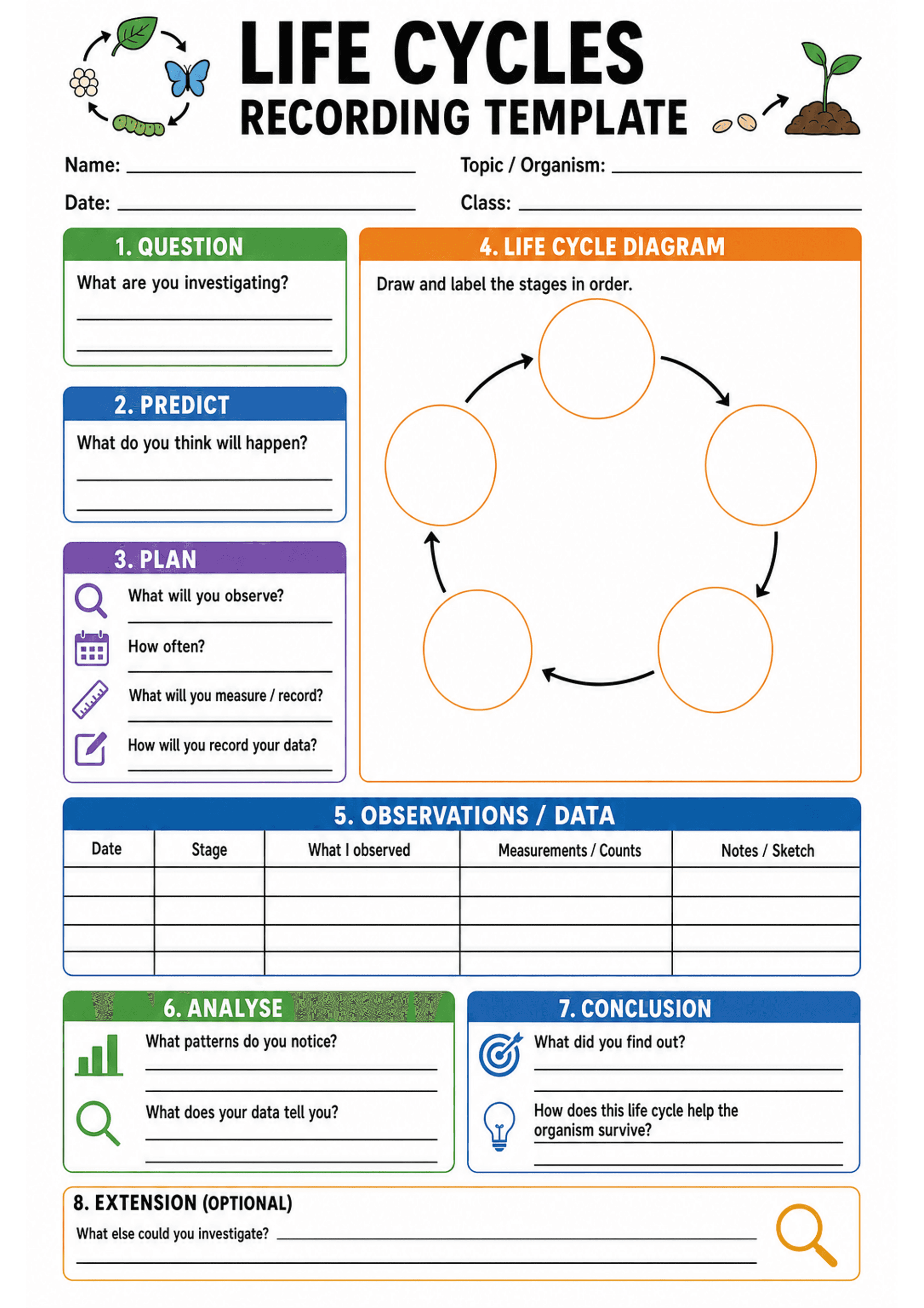 Life Cycles Recording Template: A4 portrait template with header fields (Name, Topic/Organism, Date, Class). Left column: coloured boxes 1 Question (What are you investigating?), 2 Predict (What do you think will happen?), 3 Plan (prompts: What will you observe? How often? What will you measure/record? How will you record your data?) with icons. Right large panel 4 Life Cycle Diagram: circular arrows and six empty orange circles for drawing and labelling stages. Below: 5 Observations/Data table...