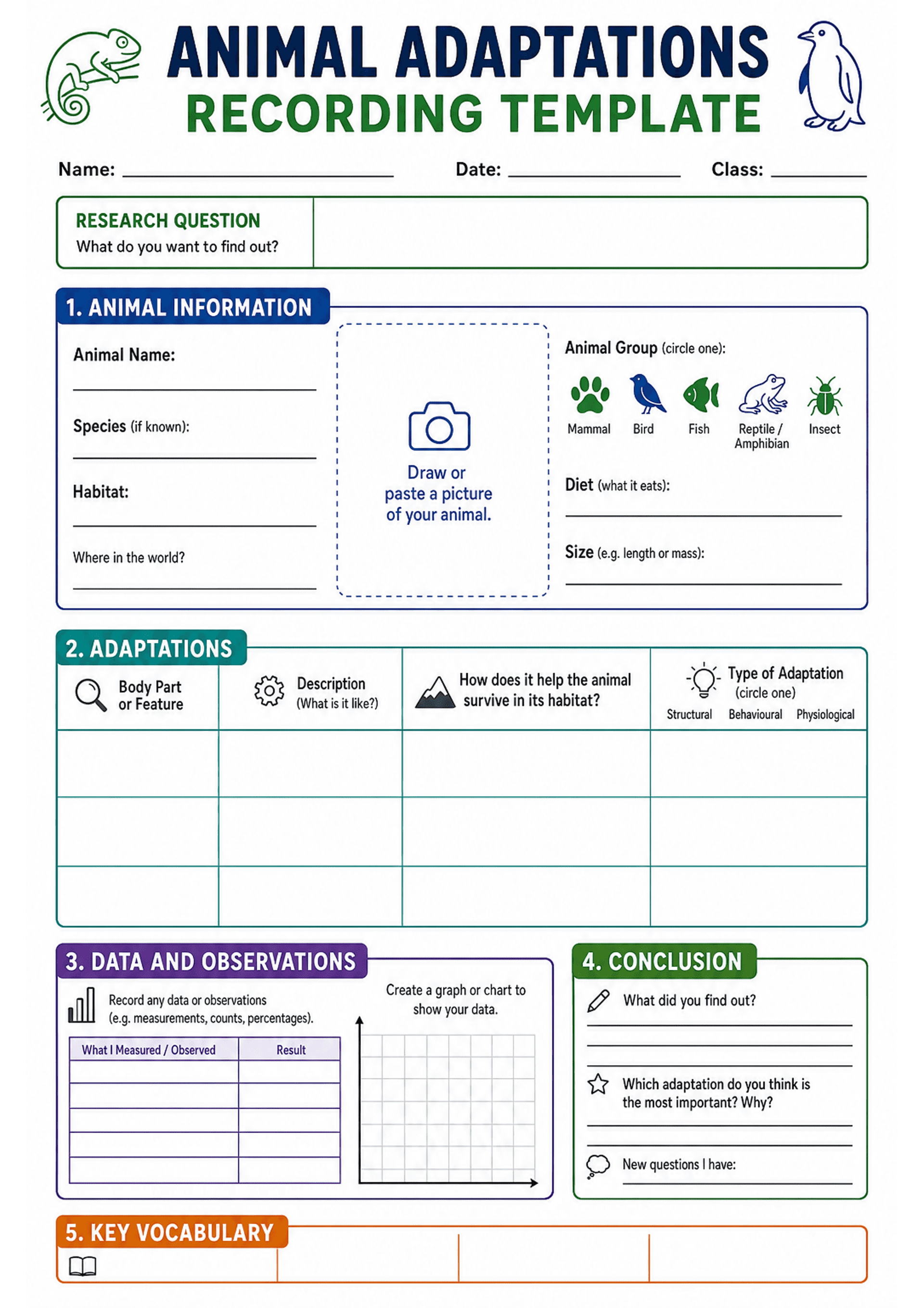 Animal Adaptations Recording Template: A4 portrait sheet with header (title, name, date, class) and a 'Research Question' box; Section 1 'Animal Information' with fields: Animal Name, Species (if known), Habitat, Where in the world?, central dotted box to draw/paste a picture, animal-group icons to circle (Mammal, Bird, Fish, Reptile/Amphibian, Insect), Diet and Size fields. Section 2 'Adaptations' is a multi-row table with columns: Body Part/Feature, Description (What is it like?), How does it...