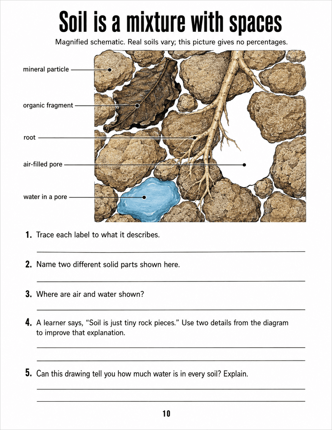 Read a magnified soil schematic showing mineral particles, an organic fragment, a root, air and water, without assuming universal proportions.