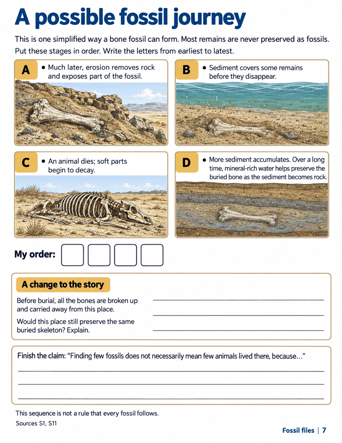 A possible fossil journey