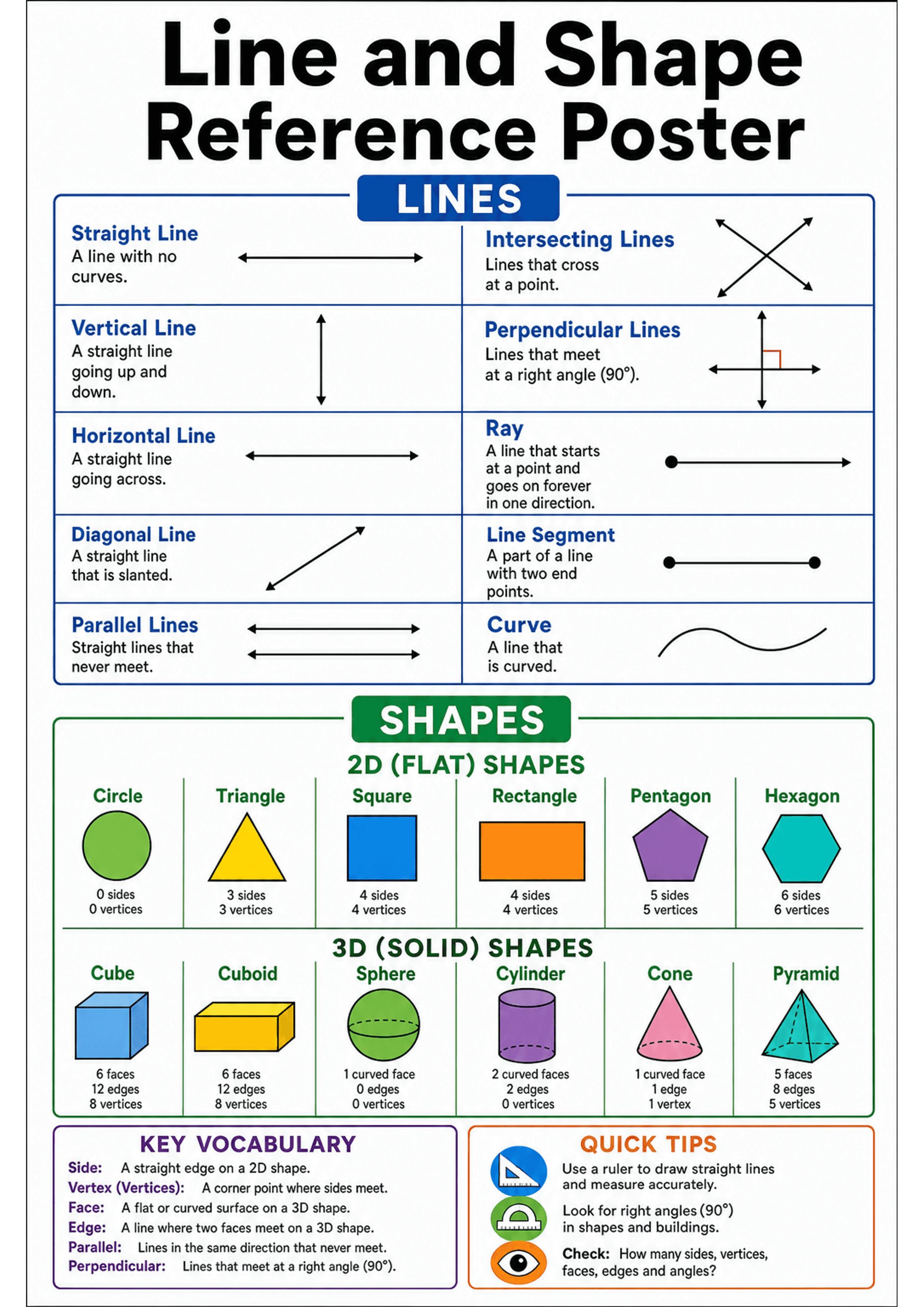 Line and Shape Reference Poster: Portrait A4 poster with large title; a blue-framed 'LINES' section in a two-column table where each row shows a blue bold term, one-line definition, and a simple black diagram (straight, vertical, horizontal, diagonal, parallel, intersecting, perpendicular, ray, line segment, curve). Below a green 'SHAPES' header: 2D shapes row of coloured icons (circle, triangle, square, rectangle, pentagon, hexagon) each labelled with 'X sides / Y vertices'; 3D (solid) shapes...
