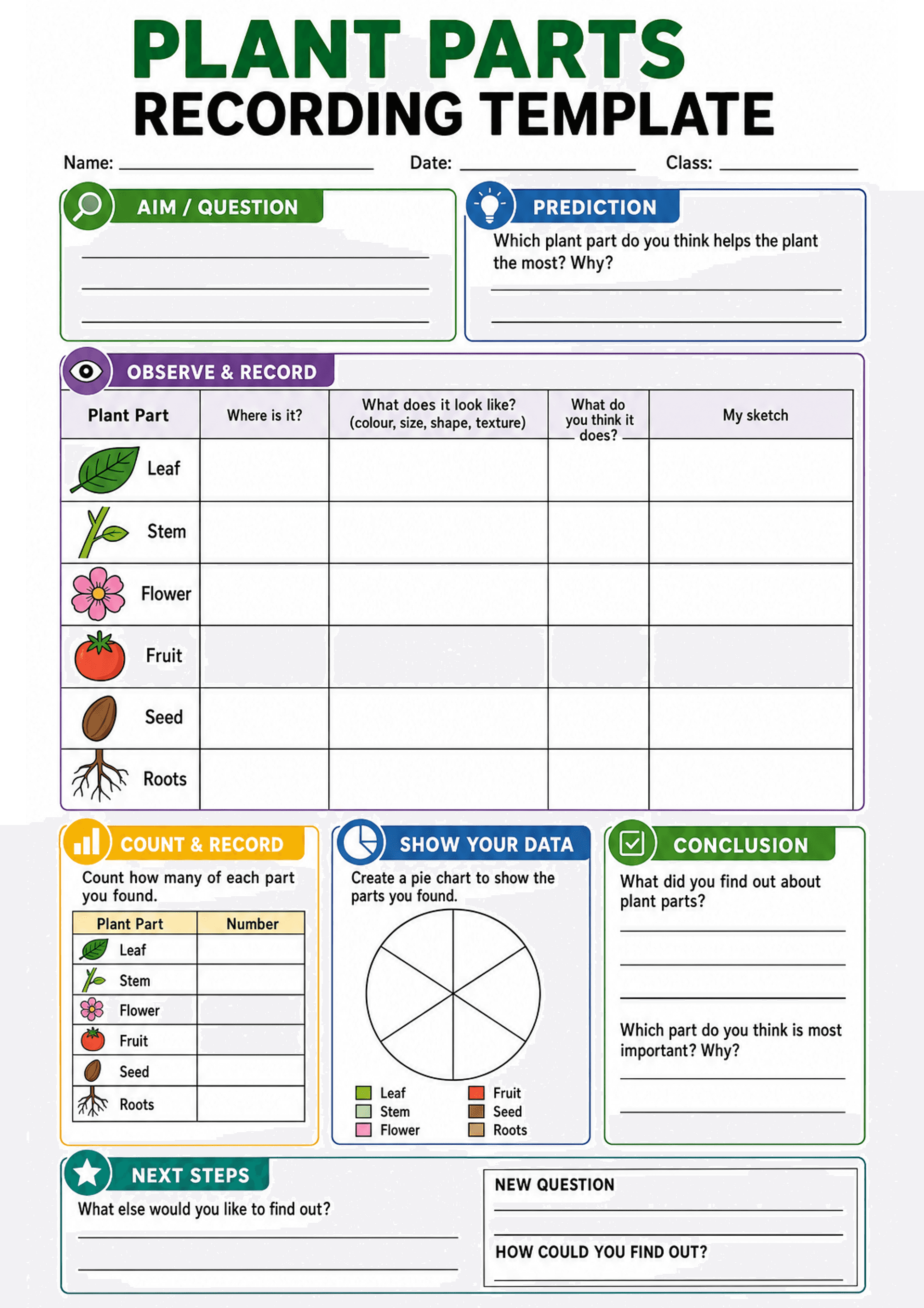 Plant Parts Recording Template: A4 portrait layout with header (title, Name/Date/Class). Top boxes: 'Aim / Question' (lined), 'Prediction' with prompt 'Which plant part do you think helps the plant the most? Why?' Large central 'Observe & Record' table with columns: Plant Part (icons shown), Where is it?, What does it look like? (colour, size, shape, texture), What do you think it does?, My sketch. Listed rows (with small icons) for Leaf, Stem, Flower, Fruit, Seed, Roots. Bottom left: 'Count &...