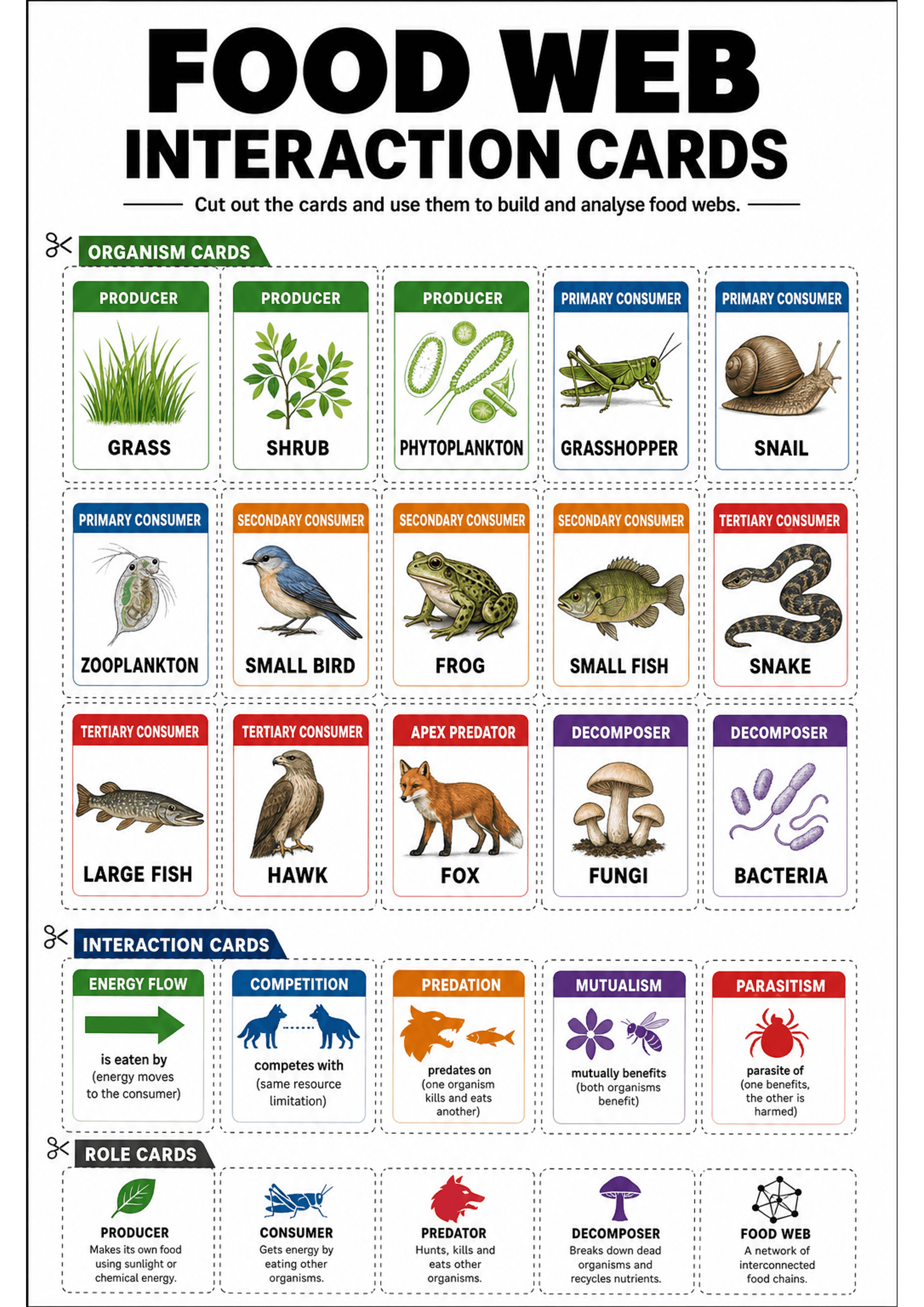 Food Web Interaction Cards: A single-page layout of cut-out cards arranged in a grid with dashed cut lines; top section titled 'FOOD WEB INTERACTION CARDS'. Organism cards show coloured headers by trophic level (green producers: GRASS, SHRUB, PHYTOPLANKTON; blue primary consumers: GRASSHOPPER, SNAIL, ZOOPLANKTON; orange secondary: SMALL BIRD, FROG, SMALL FISH; red tertiary/apex: SNAKE, LARGE FISH, HAWK, FOX; purple decomposers: FUNGI, BACTERIA) each with realistic illustrations and bold labels....