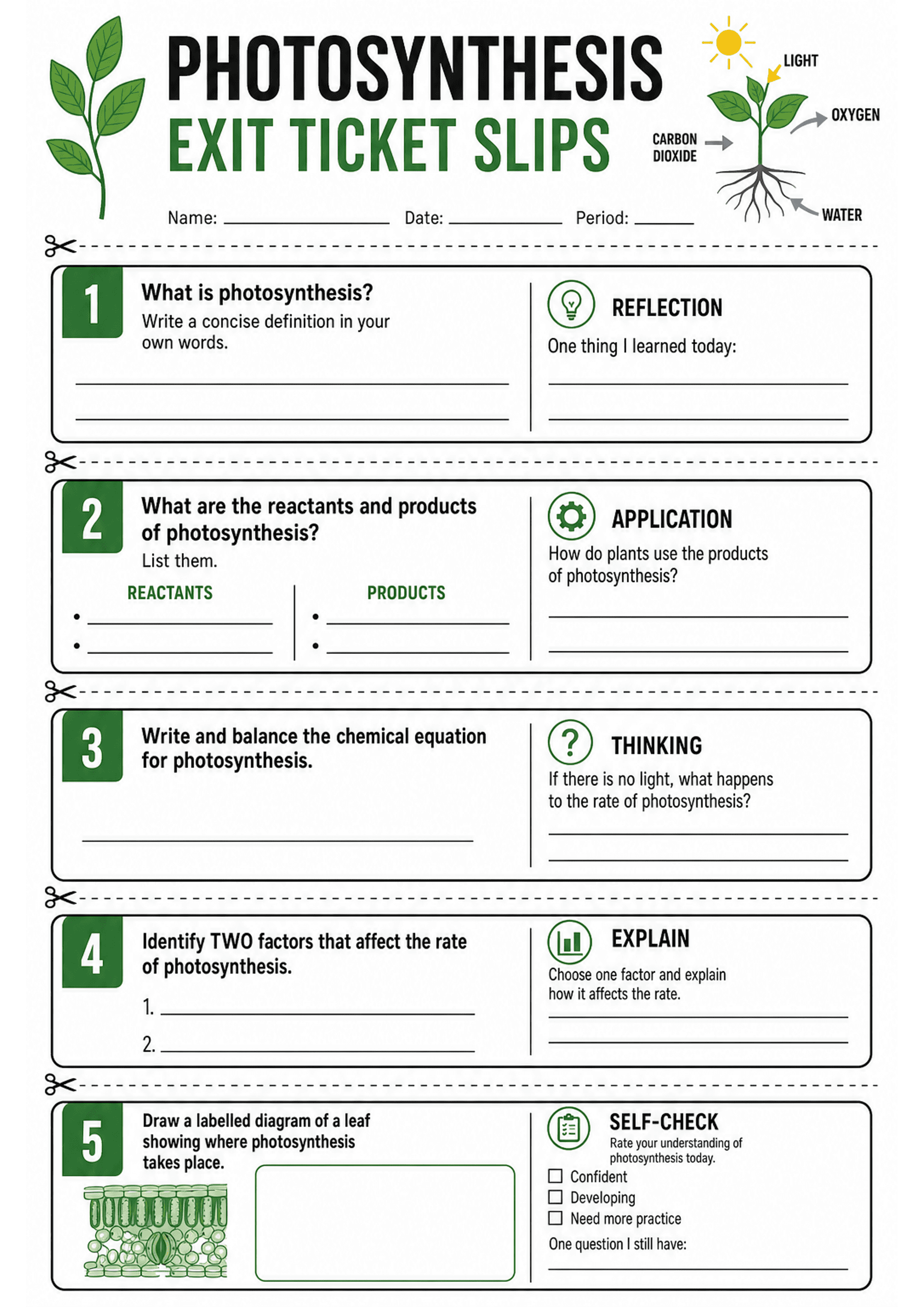 Photosynthesis Exit Ticket Slips: A vertical A4 layout with a large header 'PHOTOSYNTHESIS EXIT TICKET SLIPS', name/date/period fields and a small labelled plant diagram (light, carbon dioxide, oxygen, water). Five numbered rectangular strips separated by dotted scissor lines. Each strip has a left column with a numbered main task (1: define photosynthesis; 2: list reactants and products with two bulleted columns; 3: write/balance chemical equation; 4: identify two factors that affect rate; 5:...