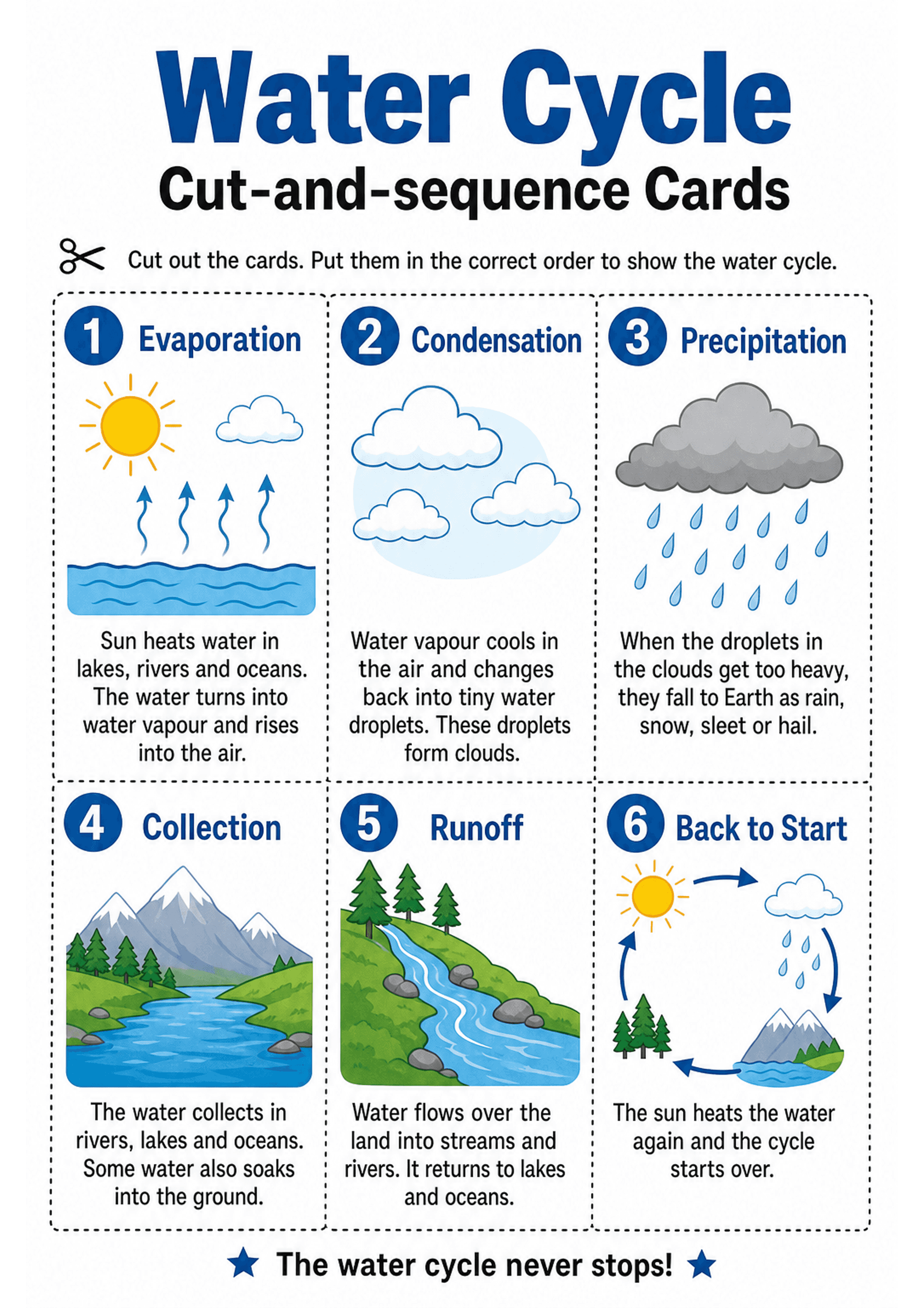 Water Cycle Cut-and-sequence Cards: A4 portrait sheet with large header 'Water Cycle Cut-and-sequence Cards' and a short instruction line; six dashed rectangular cards arranged in two columns (numbered 1–6). Each card has a blue numbered circle, a bold stage title, a colourful illustration (sun/waves, clouds, rain cloud, lake/mountains, river/runoff, cycle diagram), and one short paragraph describing that stage. Bottom line reads 'The water cycle never stops!'. Moderate text density (one short...