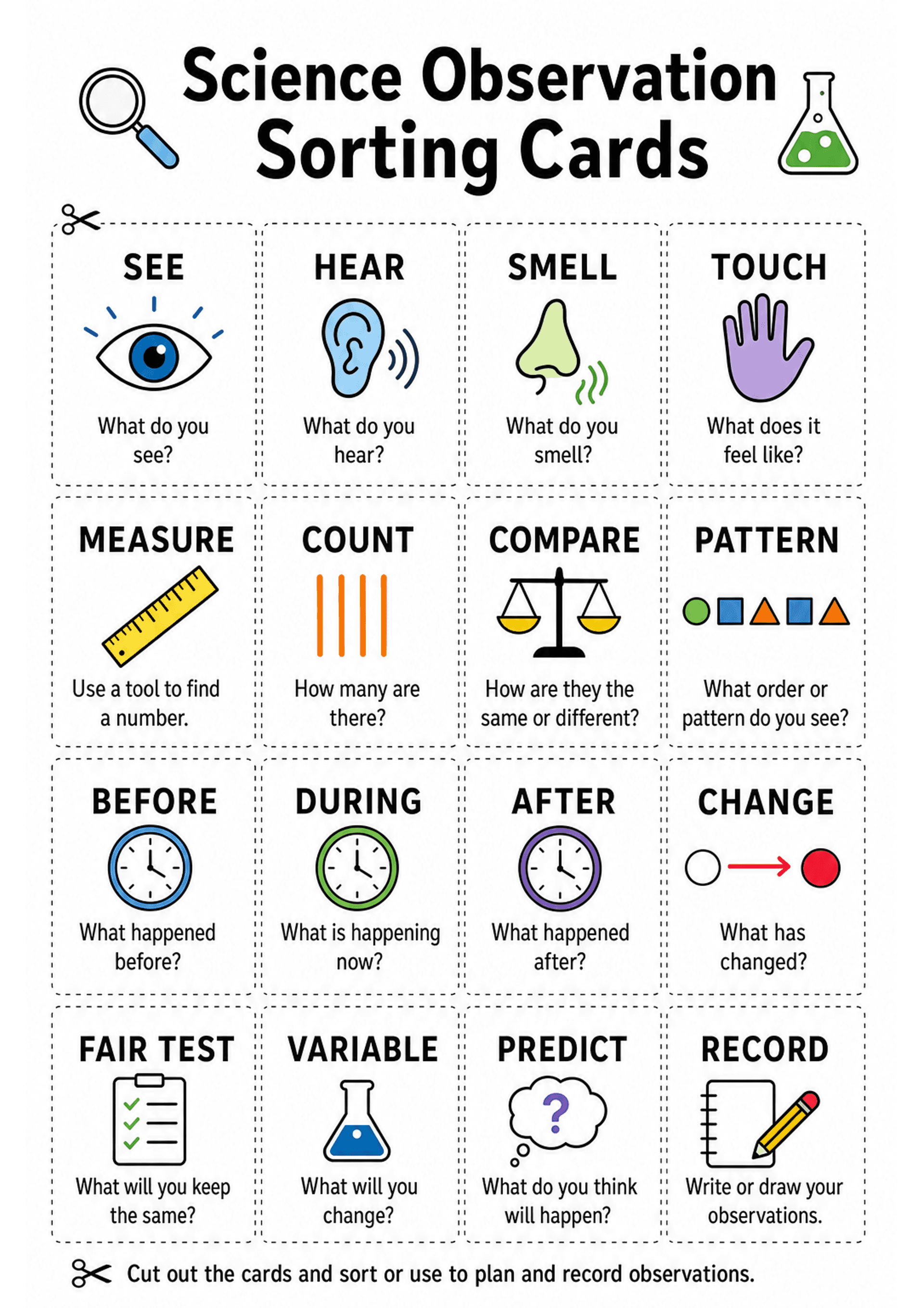 Science Observation Sorting Cards: A tiled grid of dotted-border cards (4 columns) with large headings and coloured icons: top row SEE (eye) / HEAR (ear) / SMELL (nose) / TOUCH (hand) with short questions; second row MEASURE (ruler), COUNT (tally sticks), COMPARE (scales), PATTERN (shapes) with prompts; third row BEFORE / DURING / AFTER clocks and CHANGE arrow; fourth row FAIR TEST (checklist), VARIABLE (flask), PREDICT (thought bubble) and RECORD (notebook & pencil). Bottom line instruction: '...