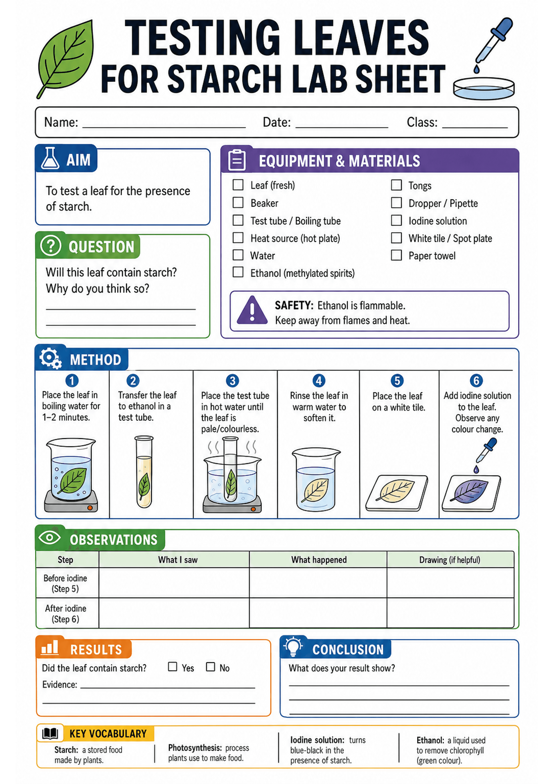 Testing Leaves for Starch Lab Sheet: A4 portrait page with large title and name/date/class header; left column boxes: AIM (short sentence), QUESTION (prediction lines); right column: EQUIPMENT & MATERIALS checklist with checkboxes and a purple safety box about ethanol; central illustrated METHOD area showing six numbered panels (boil leaf, transfer to ethanol in test tube, heat until decolourised, rinse, place on white tile, add iodine) with simple icons; OBSERVATIONS table with rows for 'Befor...