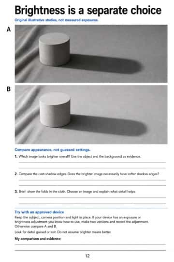 Compare brightness, shadow edges and cloth detail in two illustrative studies, then record a supported comparison or an optional device adjustment.