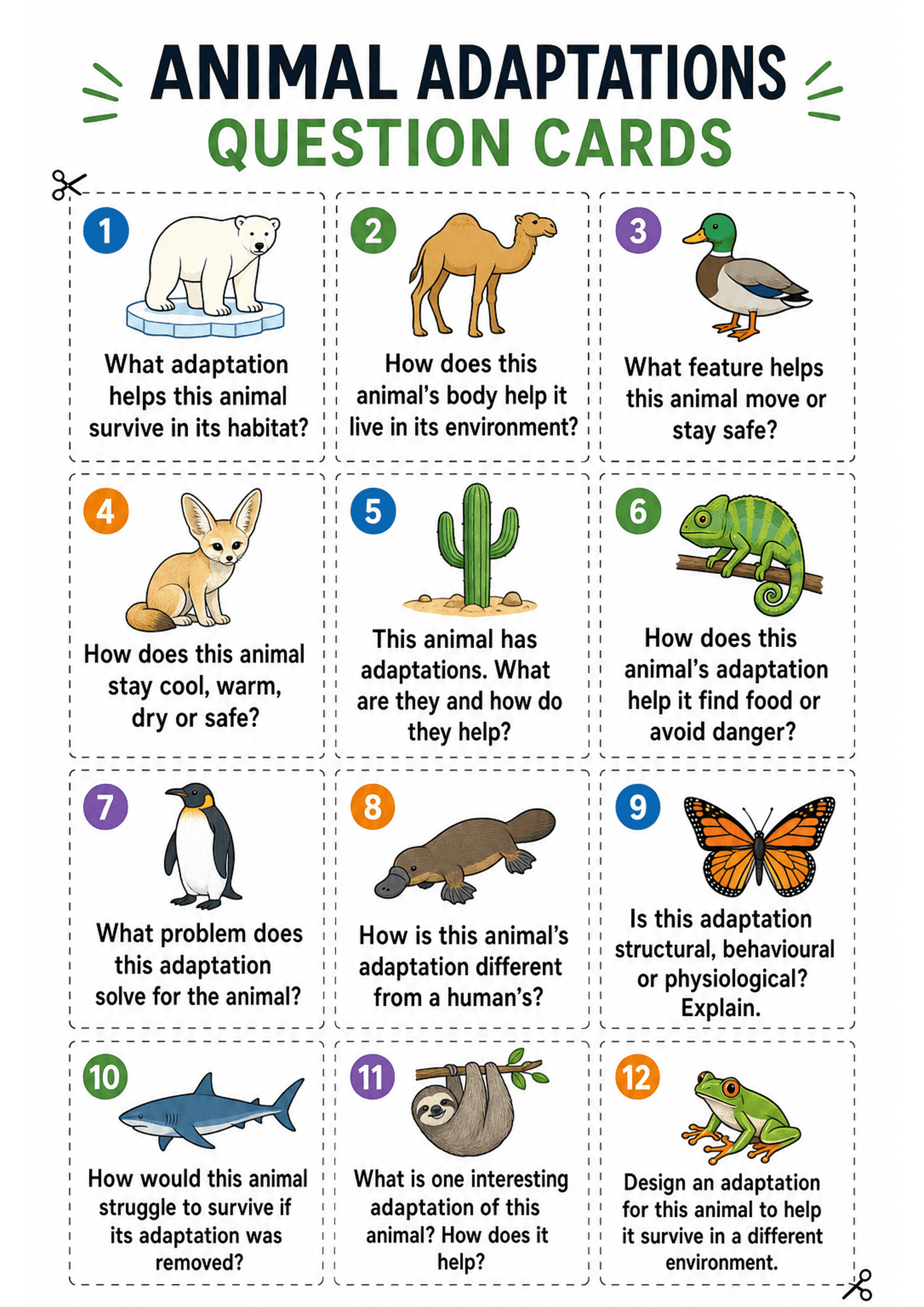 Animal Adaptations Question Cards: A single A4 page titled 'ANIMAL ADAPTATIONS QUESTION CARDS' with dashed cut lines forming a 3x4 grid of rectangular cards. Each card has a colored circular number, a clear cartoon-style animal illustration (polar bear, camel, duck, fennec fox, cactus, chameleon, penguin, platypus, butterfly, shark, sloth, frog, etc.) and a 1–3 line question in large, bold font. Scissor icons indicate where to cut; overall text density per card is low to moderate.
