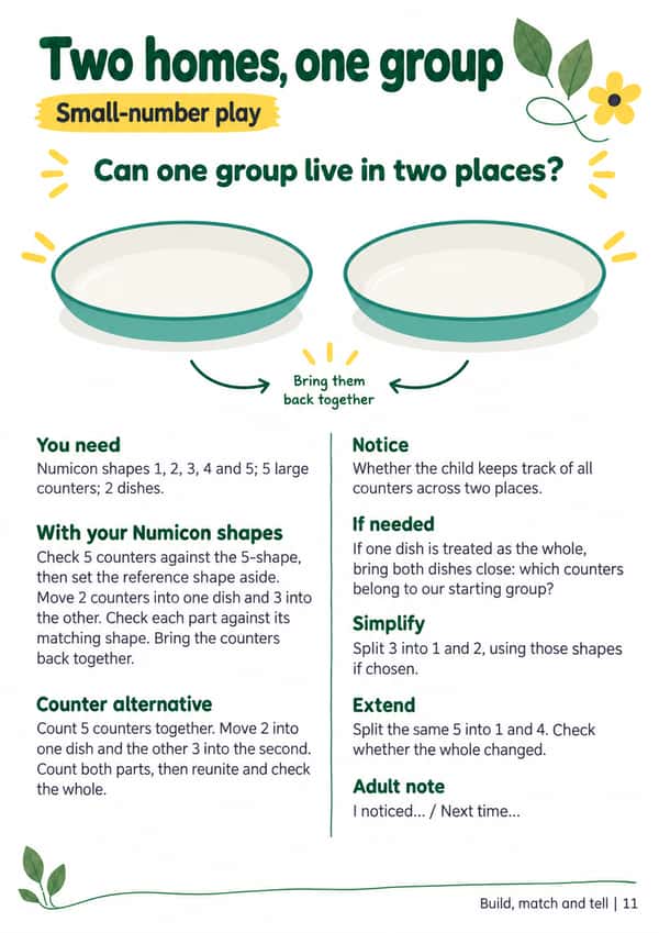 A4 adult guide, “Two homes, one group”, with material lists, Numicon and counter routes, checking prompts and space for a brief adult note.