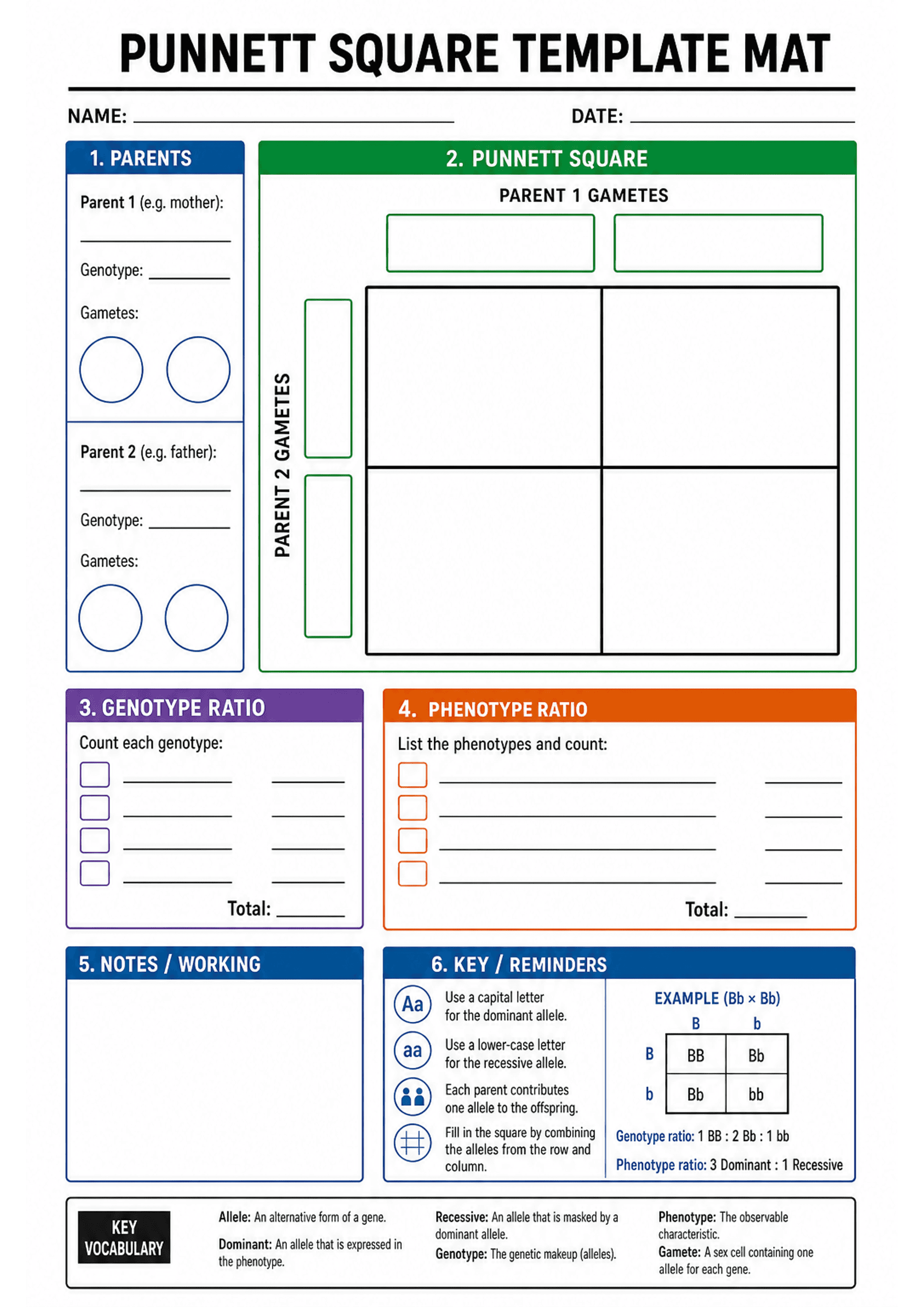 Punnett Square Template Mat: Header with NAME and DATE lines; left column '1. PARENTS' with spaces for Parent 1 and Parent 2 names, genotype lines and circular gamete icons; central '2. PUNNETT SQUARE' area with labelled Parent 1 gamete boxes across the top, Parent 2 gamete boxes down the side and a large 2x2 grid; '3. GENOTYPE RATIO' purple box with checkboxes/lines to count each genotype and a total line; '4. PHENOTYPE RATIO' orange box to list phenotypes and counts with a total; '5. NOTES /...