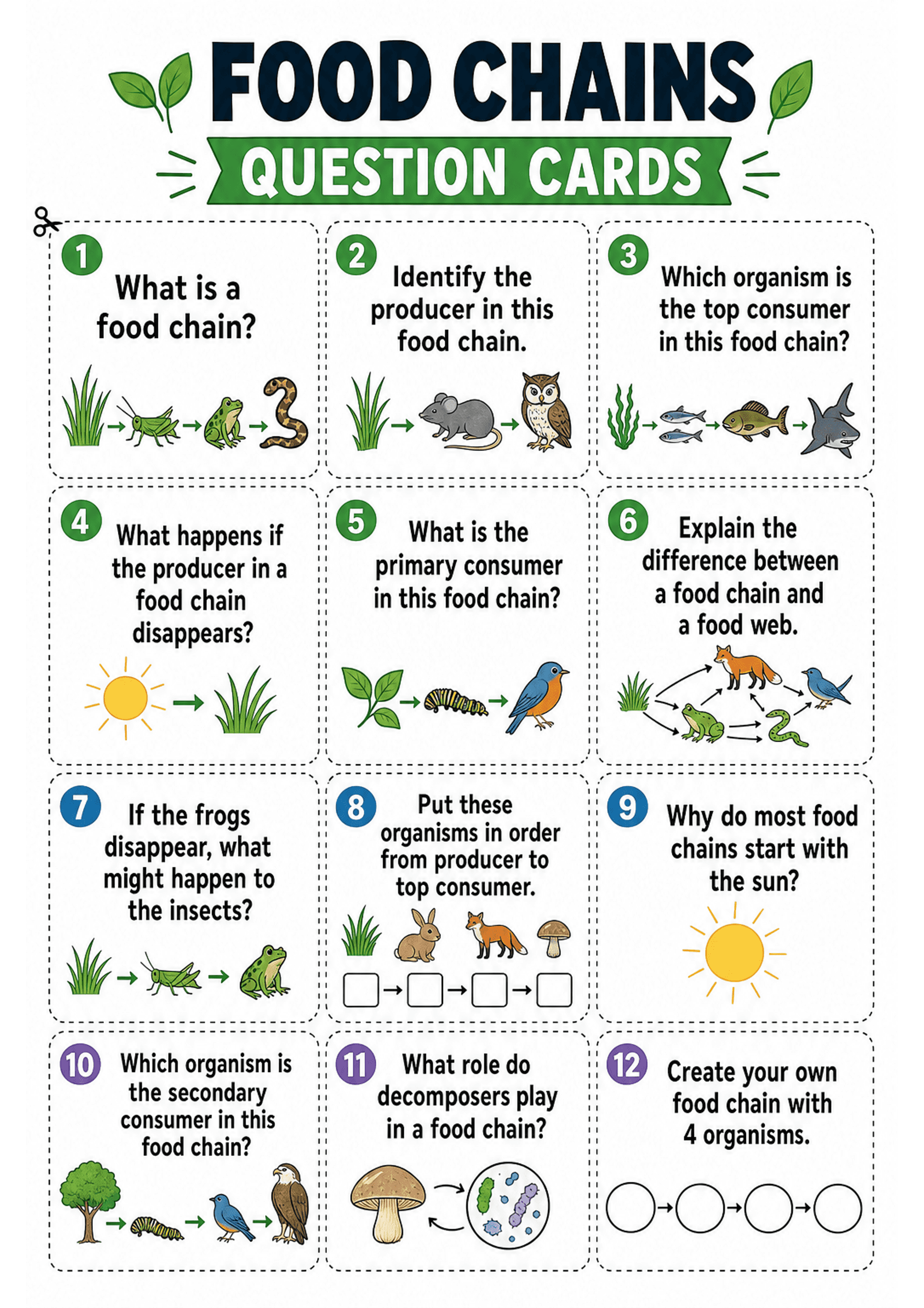 Food Chains Question Cards: A titled header 'FOOD CHAINS QUESTION CARDS' followed by a 3-column grid of 12 dashed-line cards (numbered 1–12 in coloured circles). Each card contains a short question (one sentence) and a small coloured cartoon diagram: examples include grass → insect → frog → snake, grass → mouse → owl, seaweed → small fish → larger fish → shark, sun → plant, leaf → caterpillar → bird, a simple food web with arrows, a mushroom with microbes, and boxes/circles for pupils to fill i...