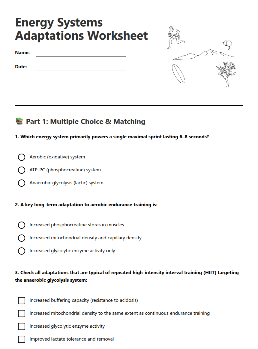 Energy Systems Adaptations Worksheet worksheet preview