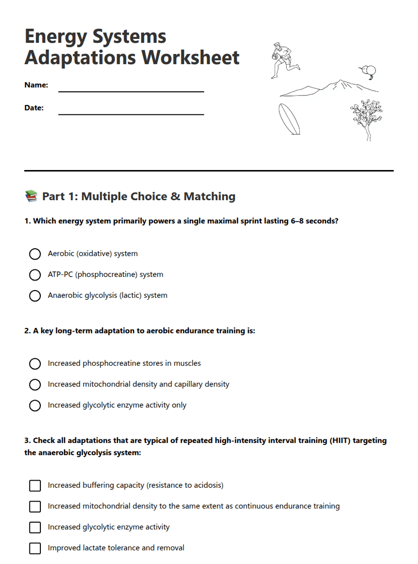 Energy Systems Adaptations Worksheet