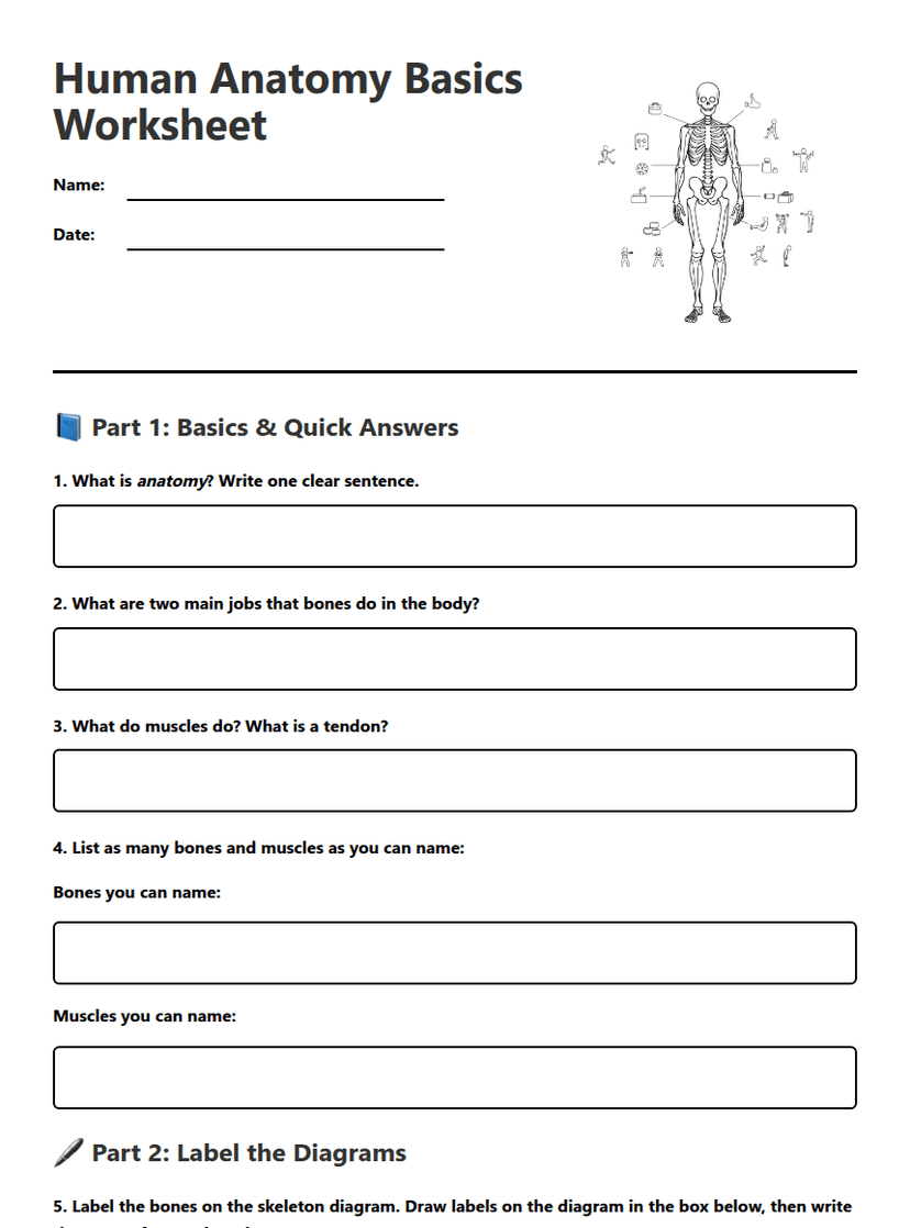 Human Anatomy Basics Worksheet