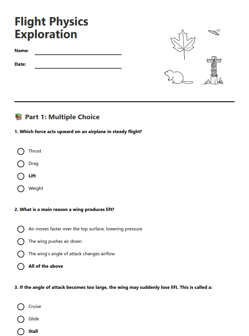 Flight Physics Exploration worksheet preview