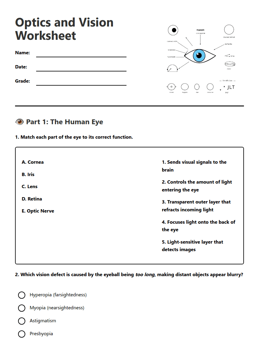 Optics and Vision Worksheet worksheet preview