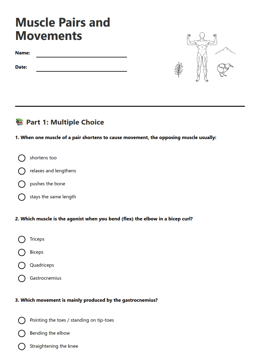 Muscle Pairs and Movements worksheet preview