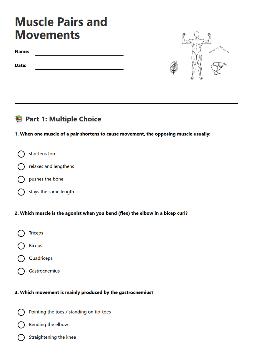 Muscle Pairs and Movements