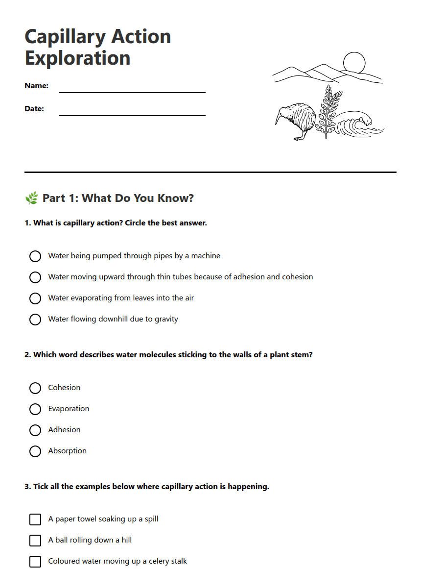 Capillary Action Exploration worksheet preview