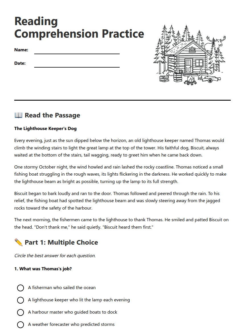 Reading Comprehension Practice worksheet preview
