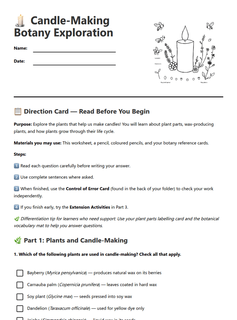 Candle-Making Botany Exploration