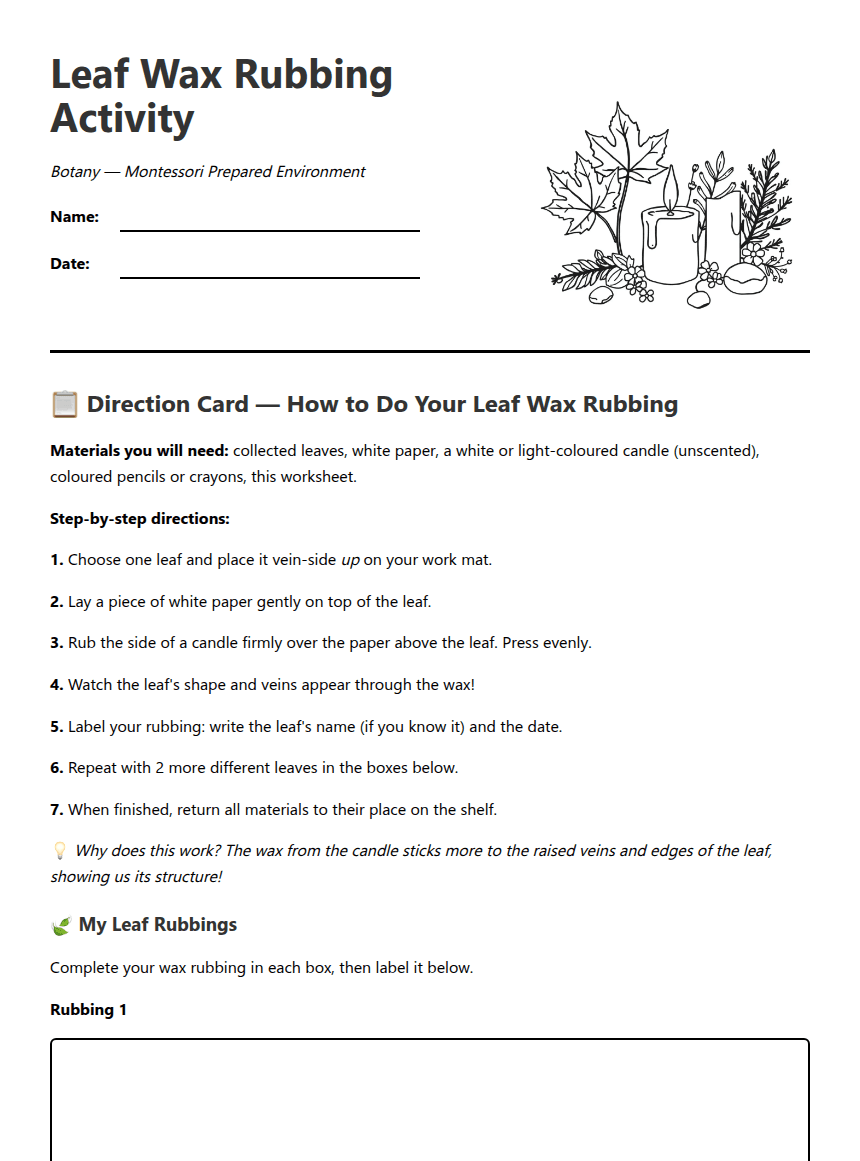 Leaf Wax Rubbing Activity worksheet preview