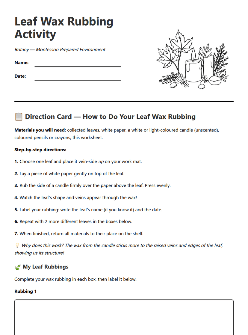 Leaf Wax Rubbing Activity