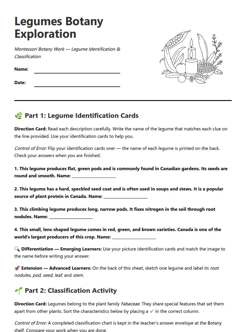 Legumes Botany Exploration
