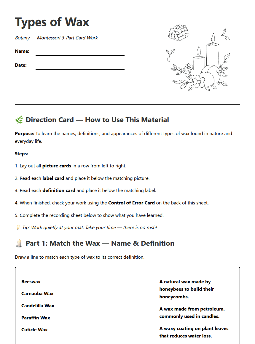 Types of Wax Worksheet worksheet preview