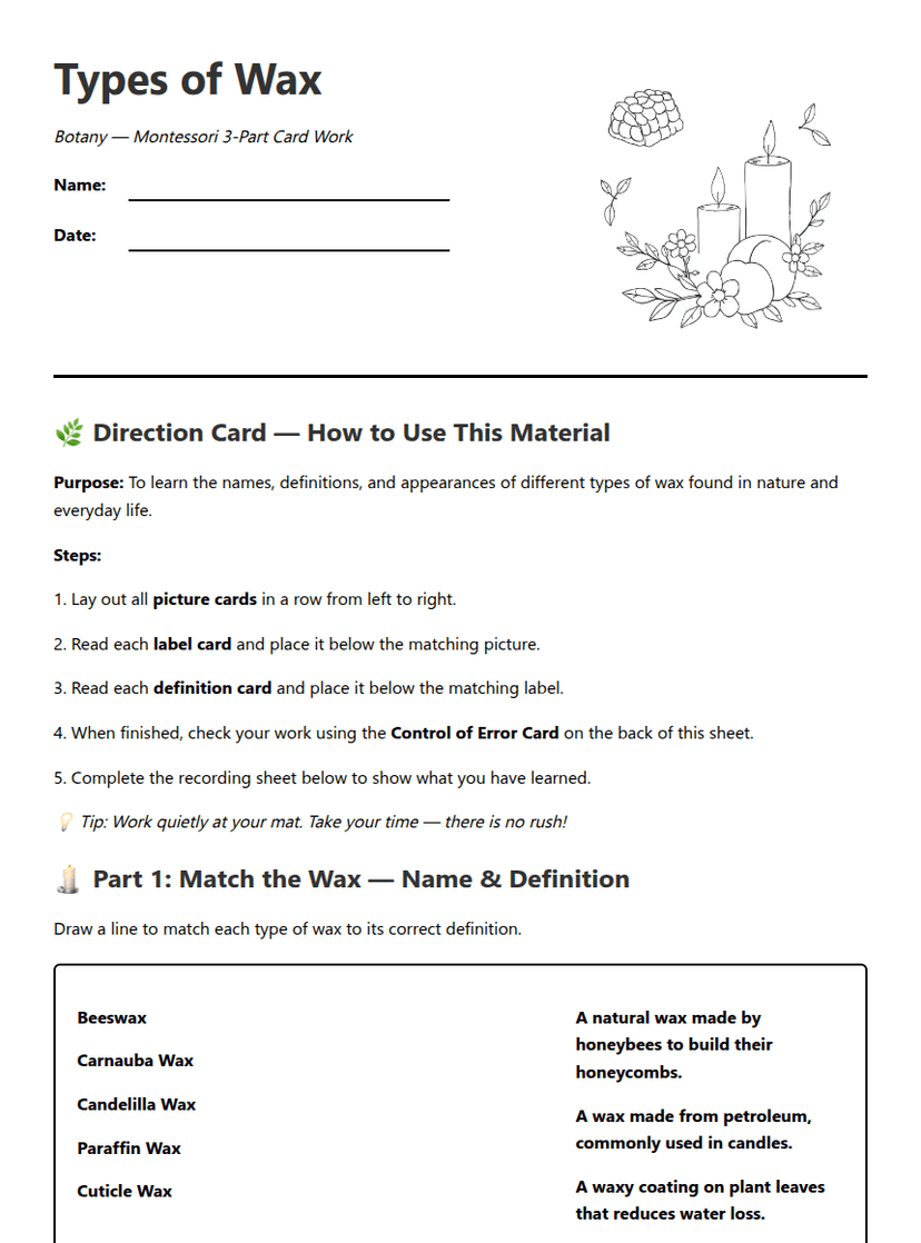 Types of Wax Worksheet