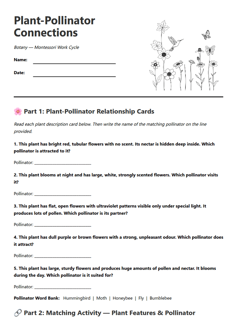 Plant-Pollinator Connections Worksheet